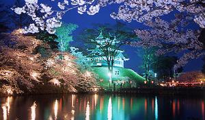 高田城百万人観桜会