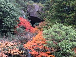 奇絶峡の紅葉