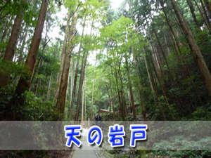 伊勢神宮林に囲まれ、神秘的な雰囲気が漂っている天の岩戸周辺林。