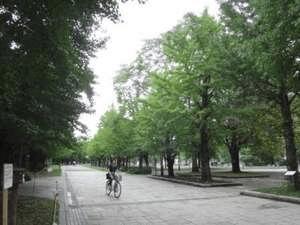 ホテルから徒歩２分！緑豊かな中島公園♪