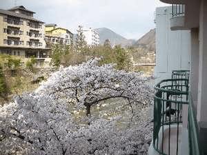 春　別館より　摺上川と桜が楽しめる♪