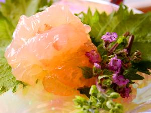 ぷりぷりの食感が堪らない伊勢海老の姿造り付き！