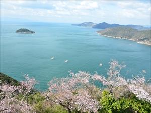 春　桜