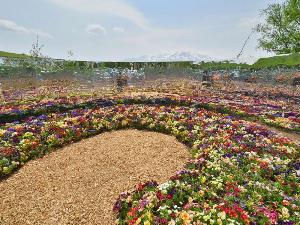 【北海道ガーデンショー】「Endless-Garden」はメイン会場の森のガーデンで楽しめます。