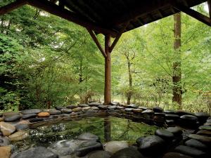 【山の湯　石湯露天】日本屈指、濃厚な“強食塩冷鉱泉”に癒される-（貸切タイム：16時頃～22時頃）