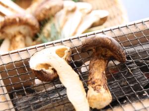 【松茸炭火焼一例】歯ごたえと香りを愉しむ炭火焼は、香ばしくて美味です。
