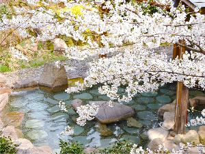 【大露天風呂】春は桜を見ながら花見露天風呂