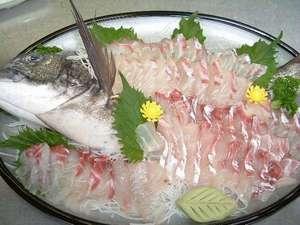 お刺身