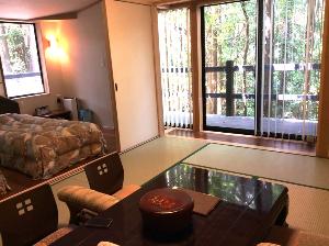 特別和洋室です。<BR>ユニットバスは温泉を引いております。