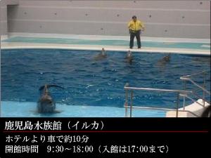GR:鹿児島水族館★いおワールド★大人気のイルカショー♪