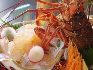 【伊勢海老姿造り】ぷりぷり食感と上品な甘味が味わえる伊勢海老をお刺身で♪