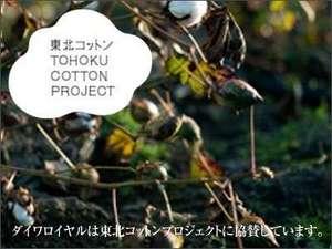 コットンプラン
