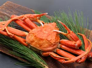 【冬季限定プラン】島根の冬といえば蟹！お得な蟹尽くしプラン！