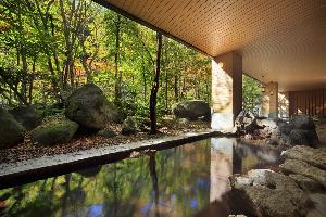 【大自然の湯「川の囁き」】自然の中にとけこんだような気分で温泉を満喫できます
