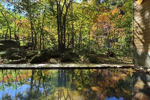 【大自然の湯「川の囁き」】温泉に映る秋の美しい風景に癒されます