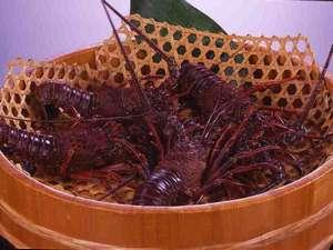 伊勢海老イメージ