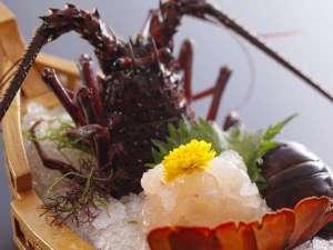 伊勢海老姿造り