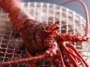 目の前の炭火で焼く伊勢海老焼き