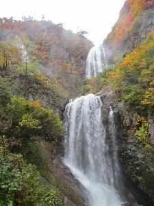 日本の滝百選第二位「安の滝」　秋の紅葉は例年10月中旬がオススメ