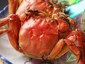 【ツガニ塩蒸し】王道の食べ方は、しゃぶりついて食す「塩ゆで」。濃厚な味噌や内子が最高においしい