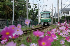 鎌倉・湘南観光なら江ノ電で♪