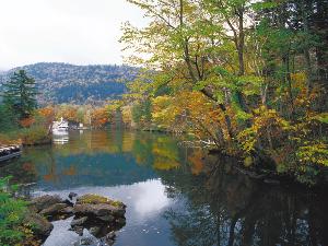 ◆紅葉の阿寒湖