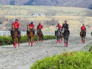 見学途中で会った調教中の馬たち。騎手の方々もステキです♪