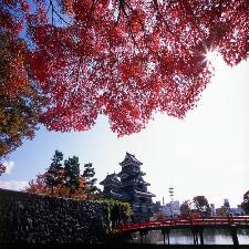◆紅葉の松本城