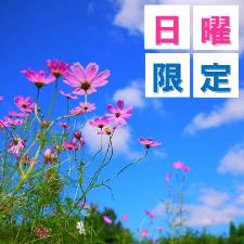 日曜限定