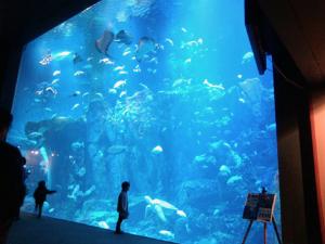 男鹿水族館ＧＡＯ。当館からお車で１５分ほどのところにあります。