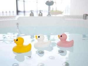 Duck