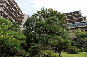 広大な庭園から見渡す風景