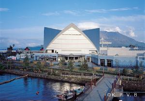 鹿児島水族館まで車で１０分