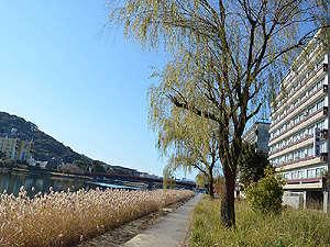 松栄第二別館前の鏡川・天神橋と高知市総合運動場野球場が見えます。