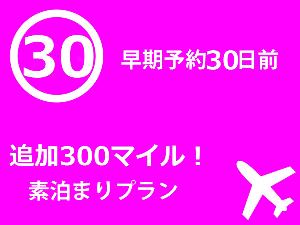 早決30/300マイル素泊り