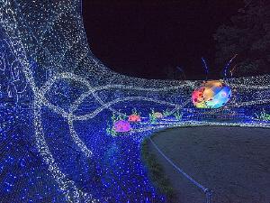 「Myoko　Happiness　Illumination～幸福を呼ぶ光の双龍～」