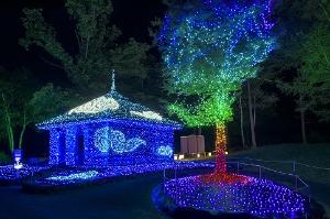 「Myoko　Happiness　Illumination～幸福を呼ぶ光の双龍～」