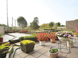 【ビジネスインうめさき】季節の花々が綺麗な庭園 