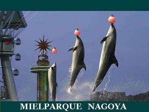 名古屋港水族館【イルカのショー】