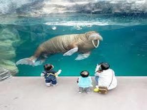 体験型水族館アクアマリン