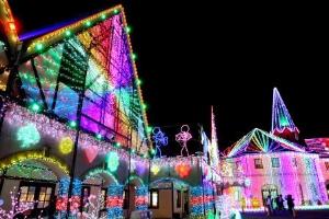 東京ドイツ村