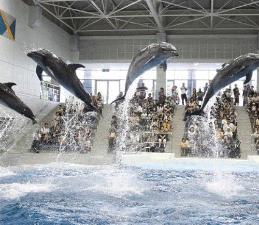 水族館【いおワールド】