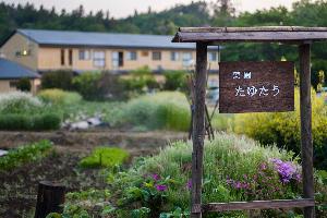 約60種もの野菜や果物を育てる自家菜園が、拡がる宿の景色