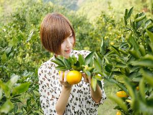 信貴山のどか村にチェックアウト前後お出かけは如何？みかん狩りは秋冬の楽しみ