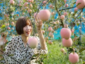 奈良でりんご♪信貴山のどか村でりんご狩（秋・冬）