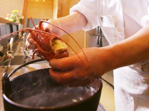 房総の高級食材「房州いせえび」