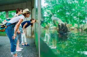 クマと対面