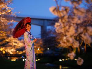 【春】光が照らし出す夜の桜の幻想的な姿を、ご友人と、ご家族と、恋人と一緒に。