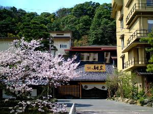 旅館の前でも桜の花が楽しめます★春の思い出の一枚に是非★