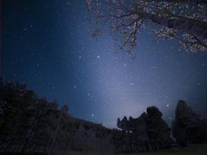 ホテルすぐ前には星見の広場。天に広がるプラネタリムに『感動』！美しき銀河の星々に抱かれる一時を‐‐